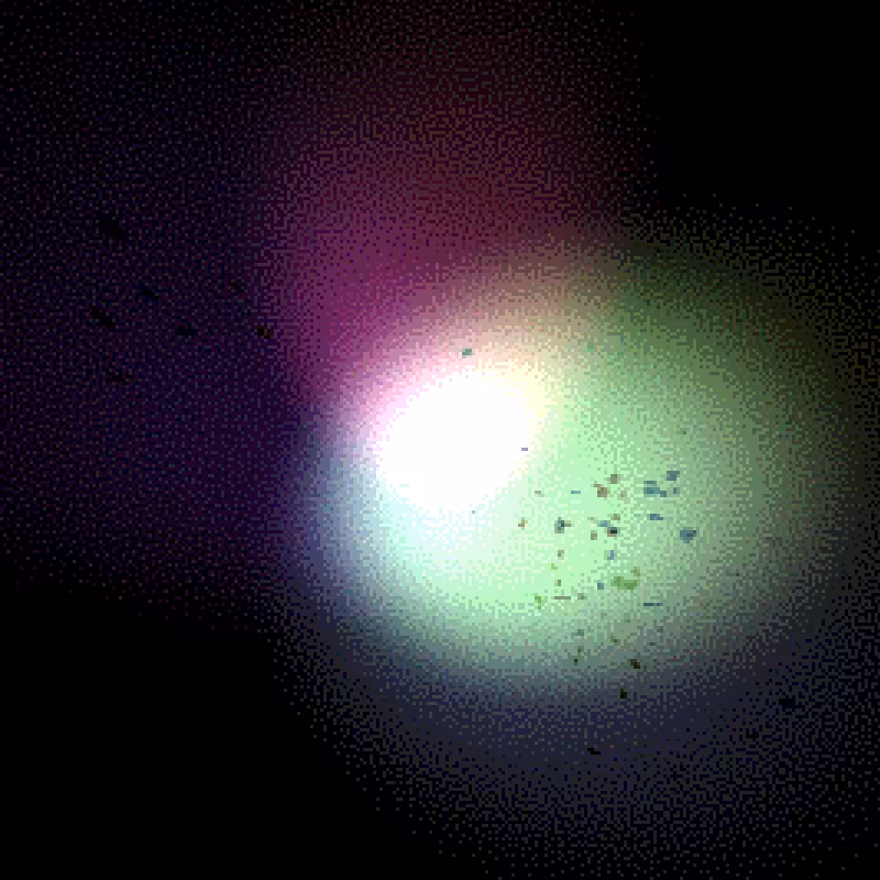 Moths #2