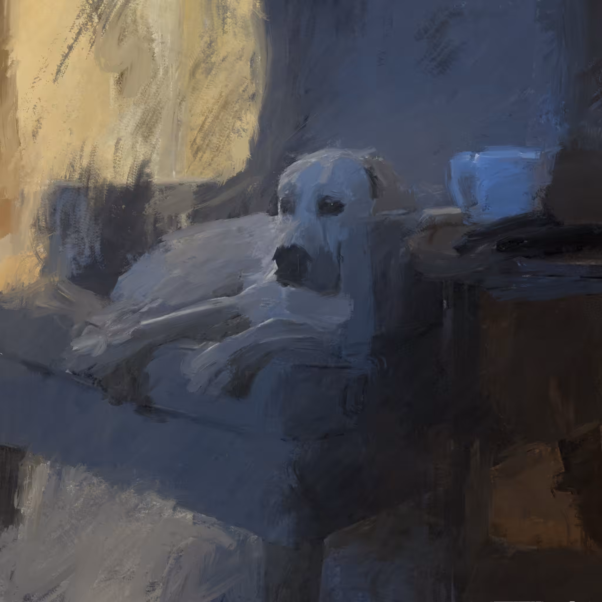 Dog on a chair watching TV