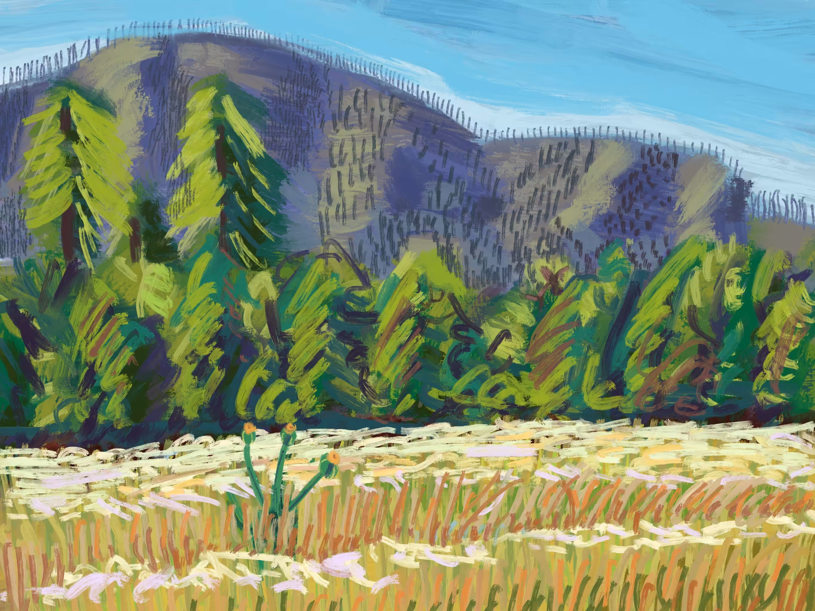 Columbia River Gorge