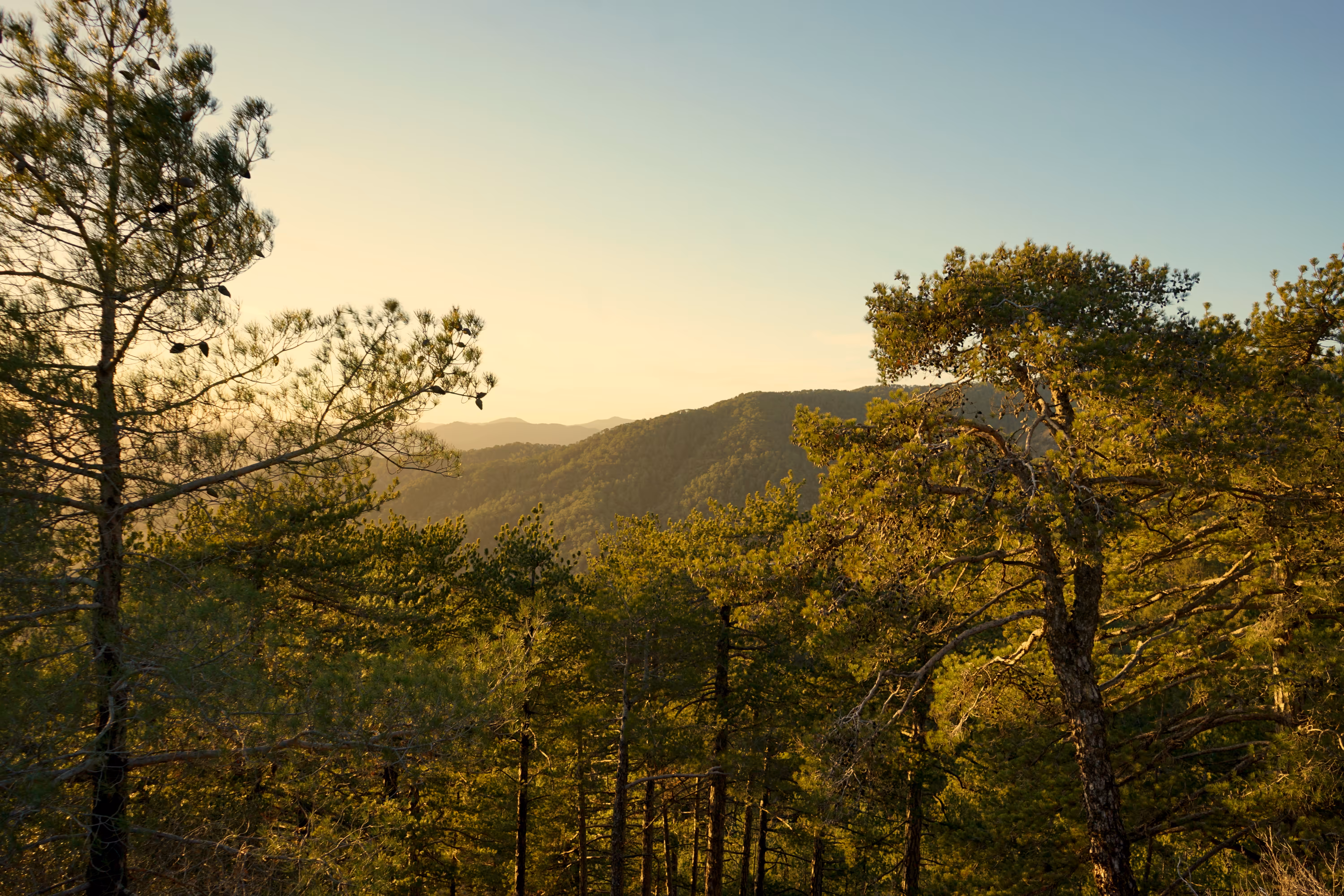 mountains#5