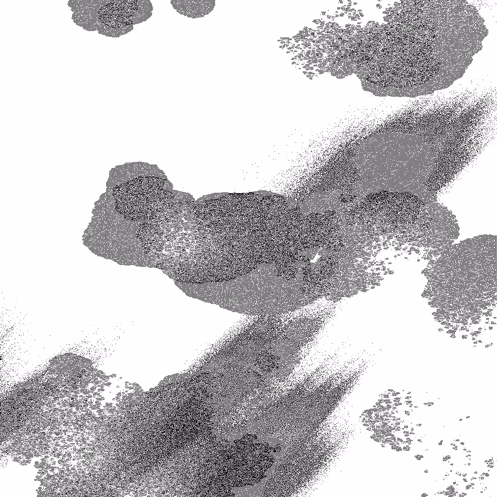 Noise #641 