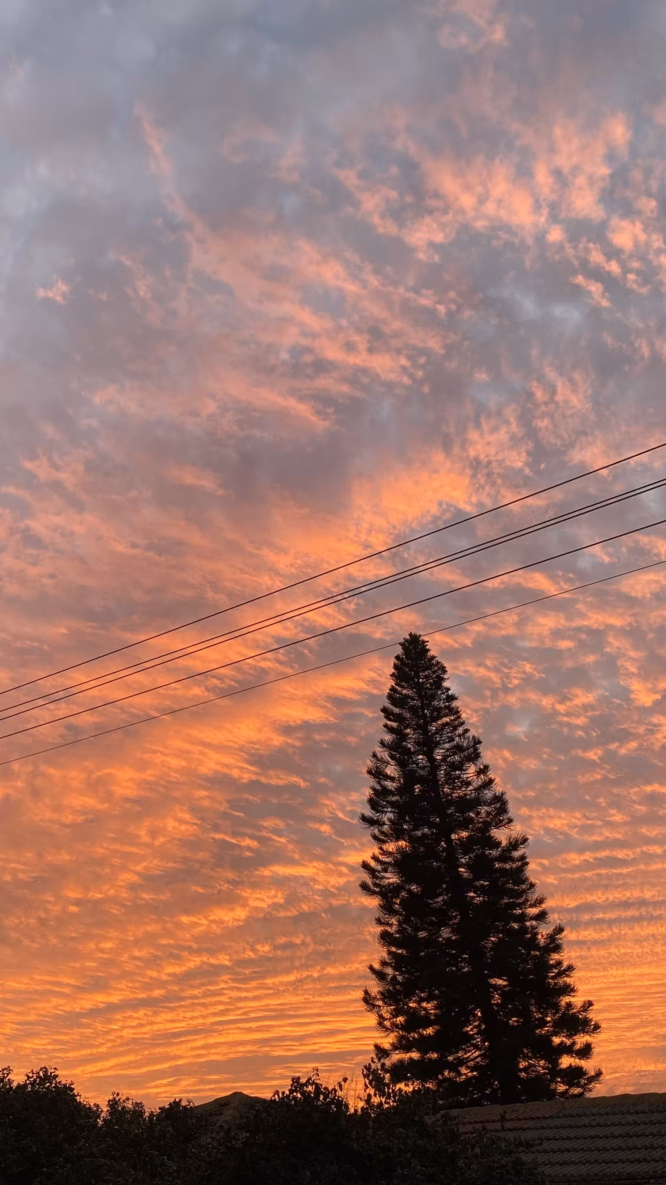 fire sky