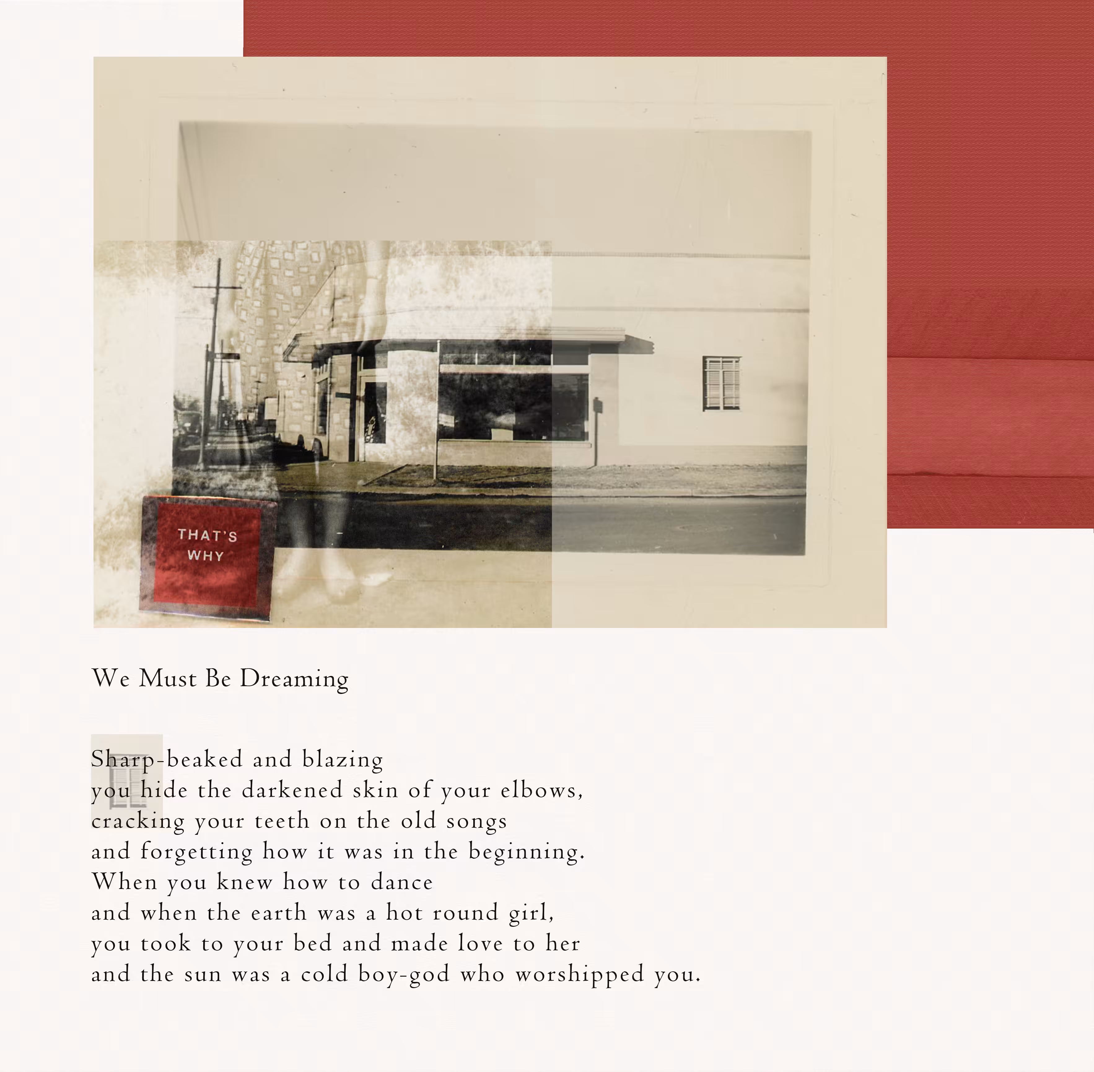 We Must Be Dreaming