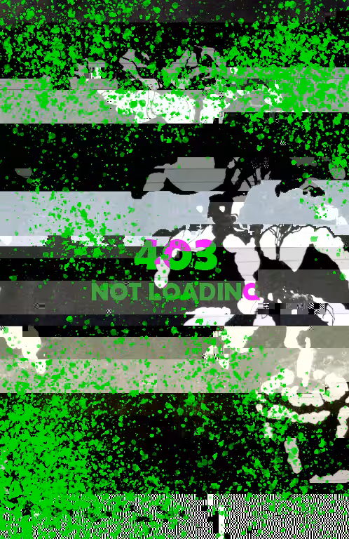 400 ERROR #33