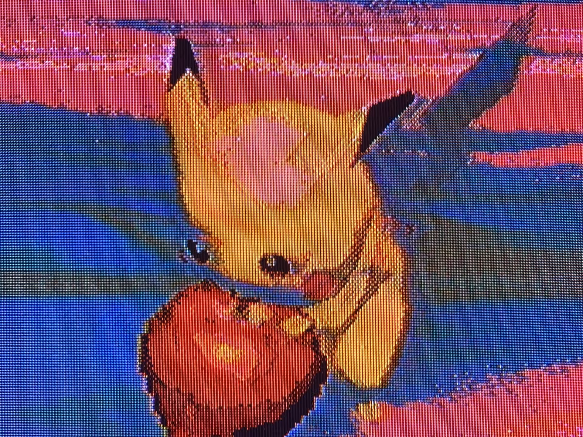 Pikachu Eating an Apple