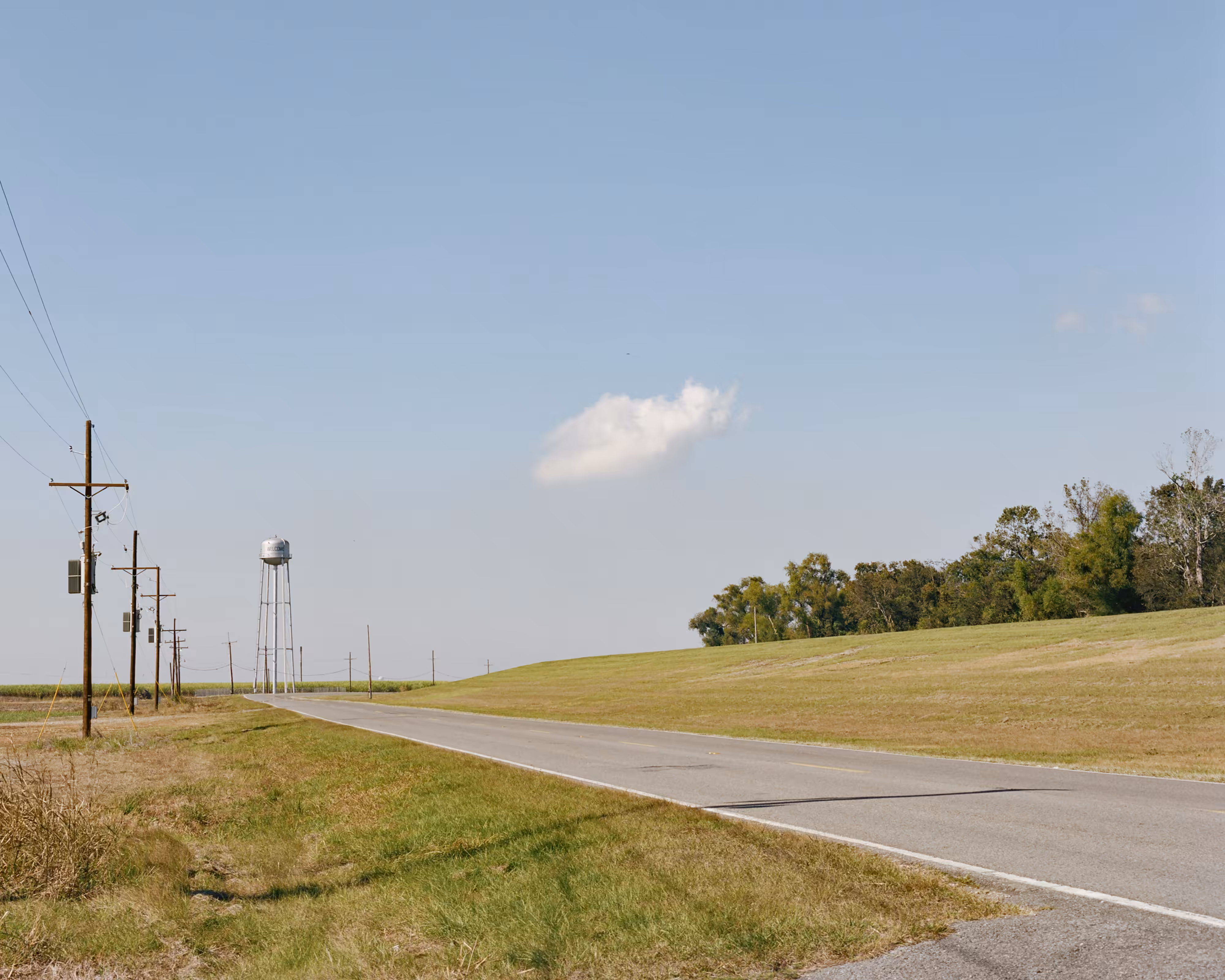 Levee