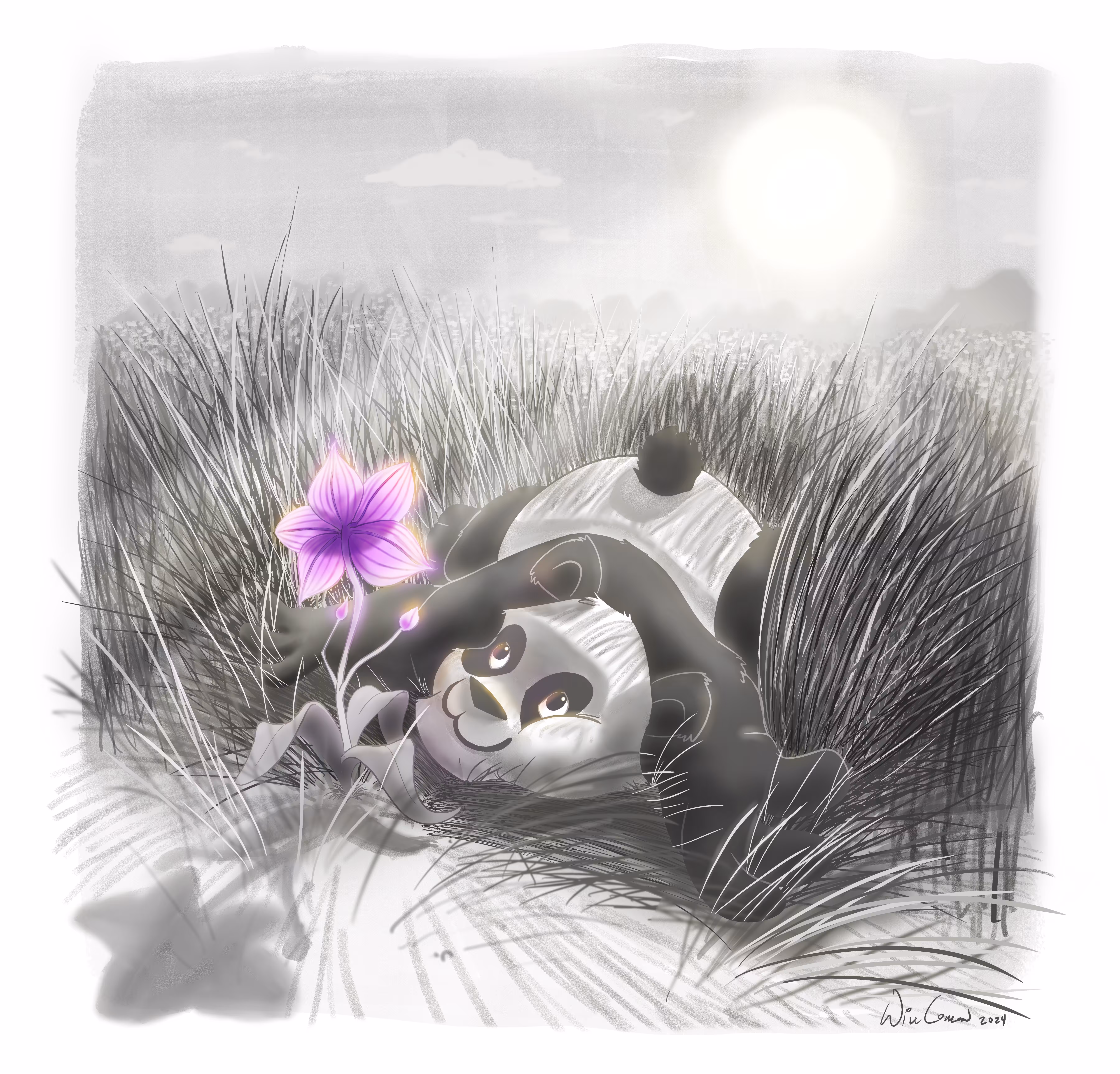 Panda Sun