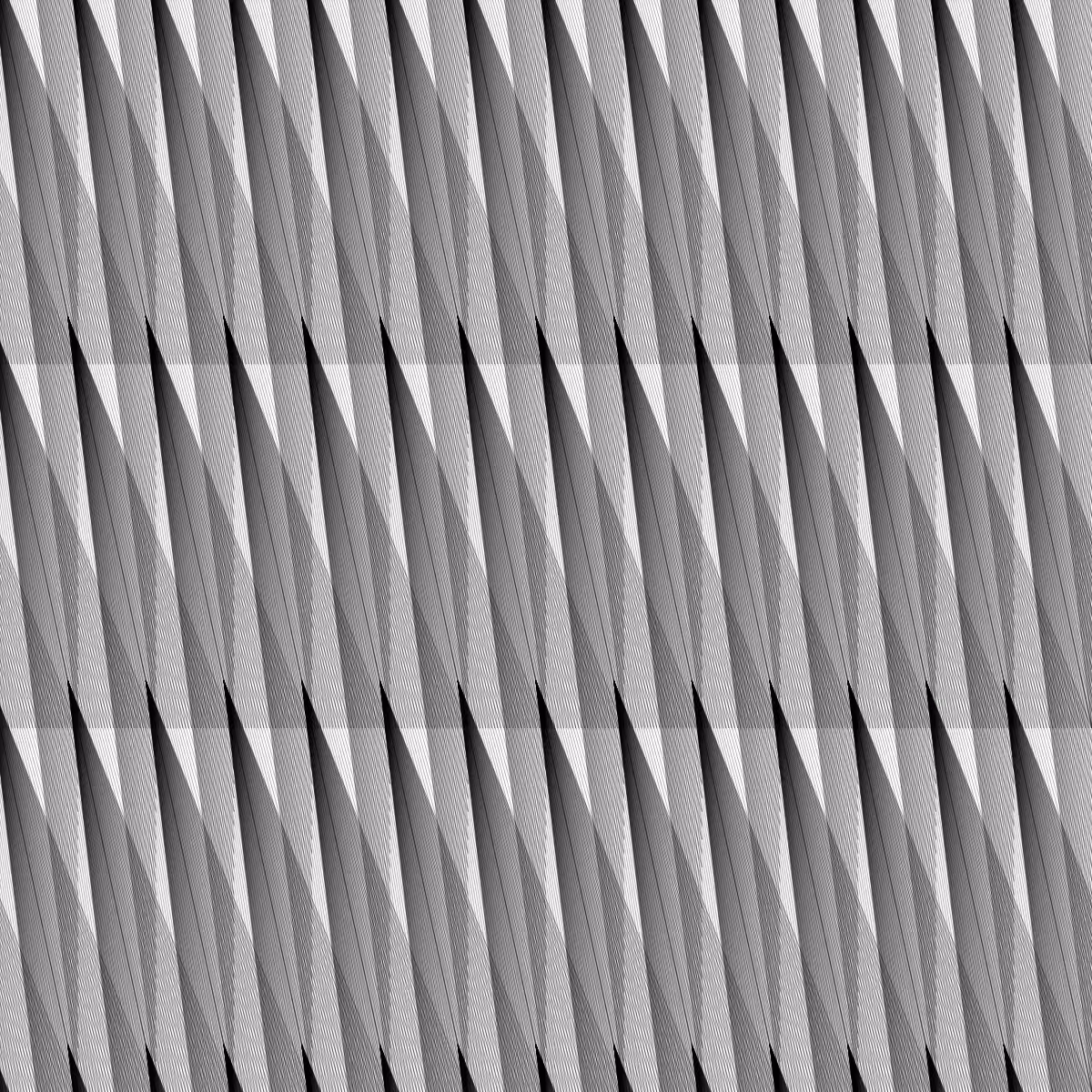 Noir et Blanc #101