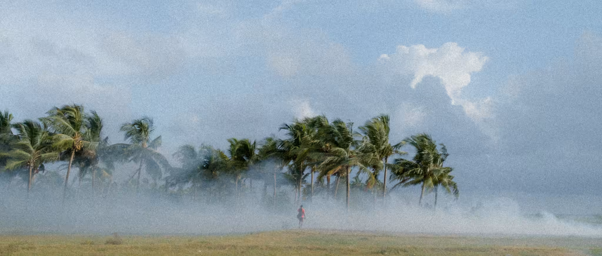 Windy Escapade