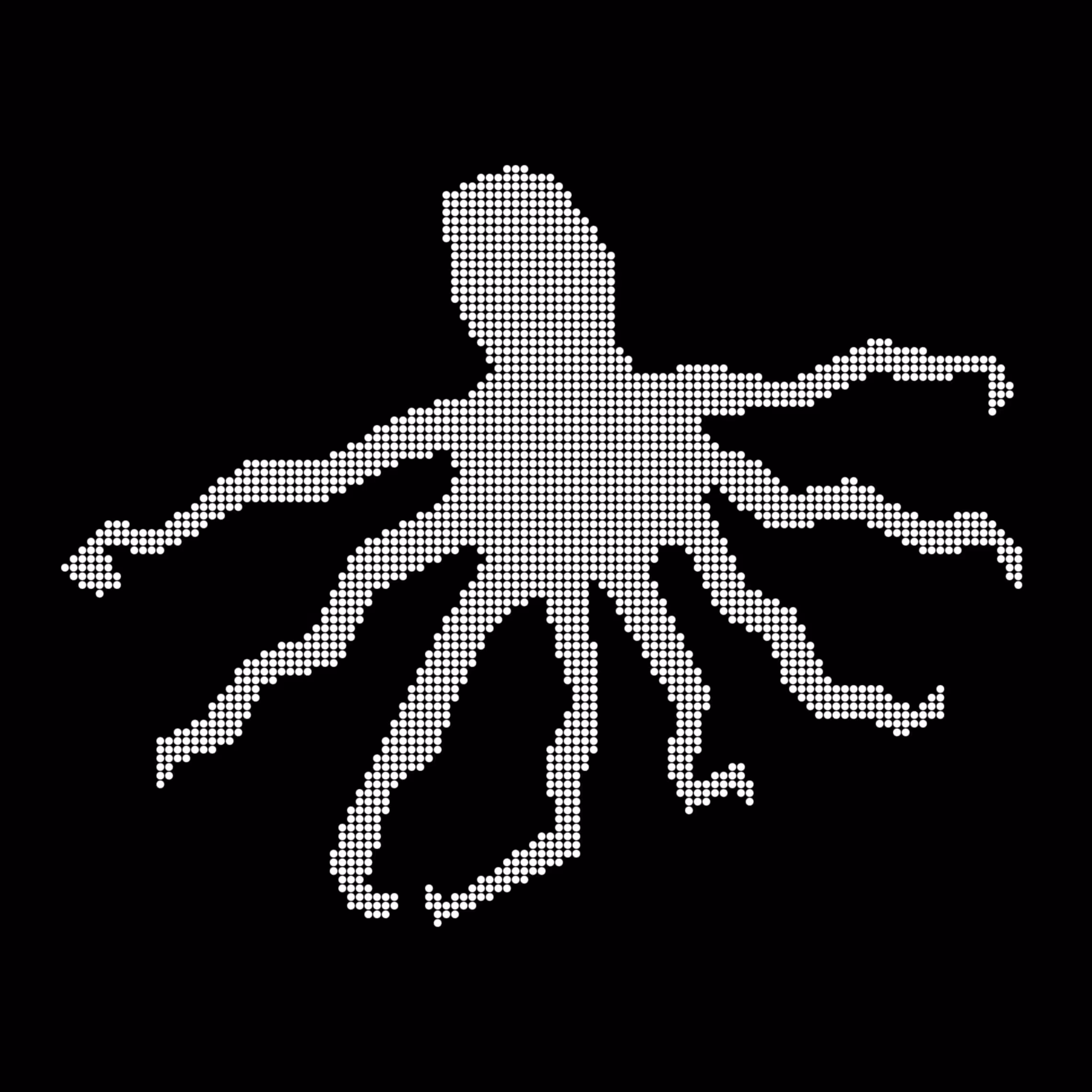 Caltech Studies (Braille): Octopus 27