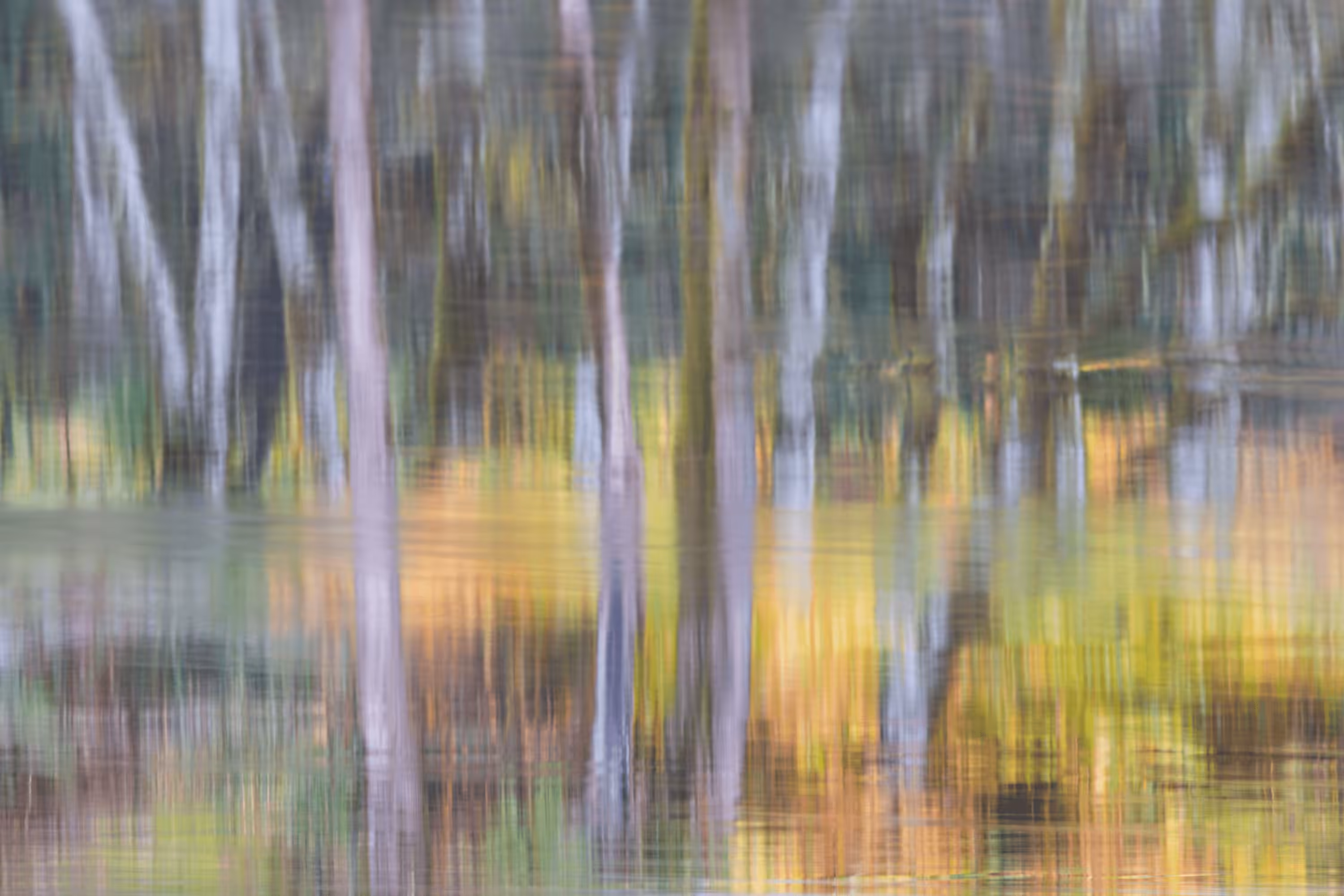 Ebb and Flow #82