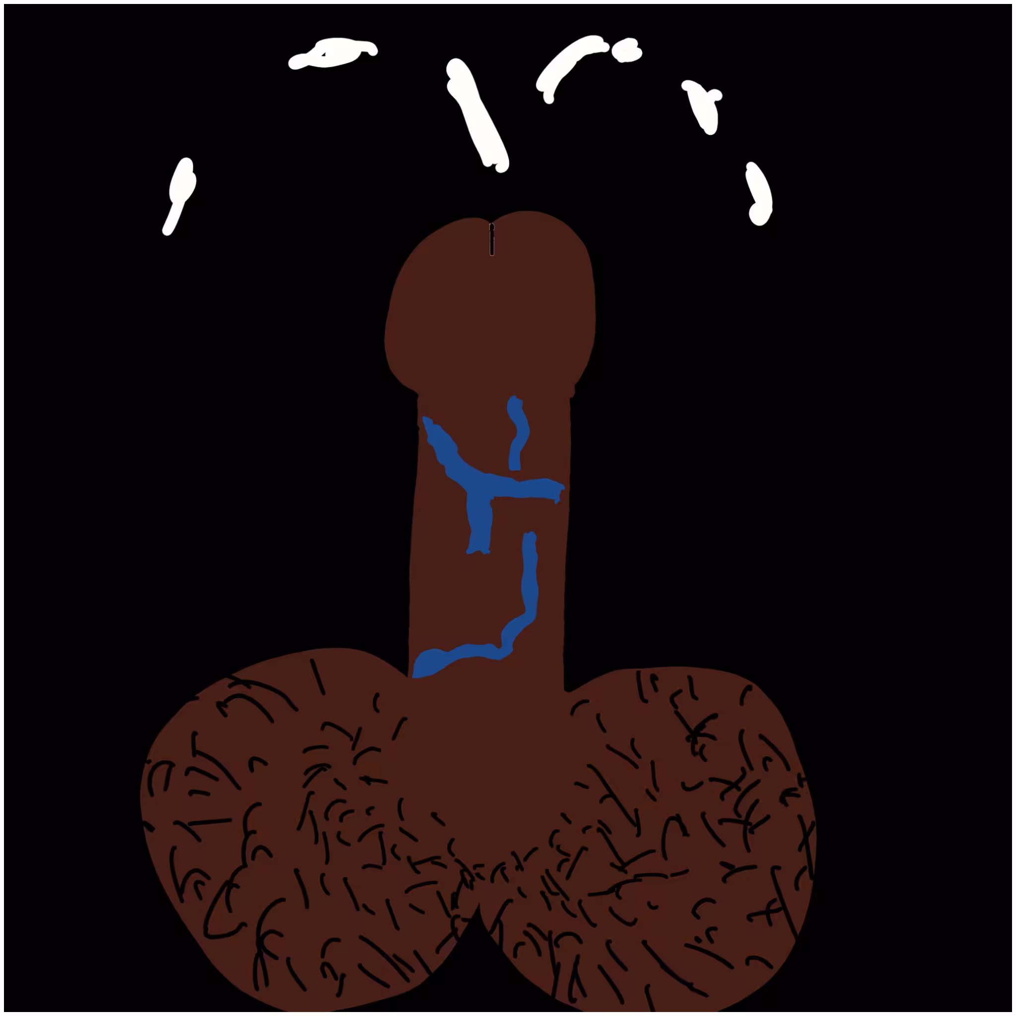 Dickgenerative Art #40