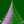 Grading tree