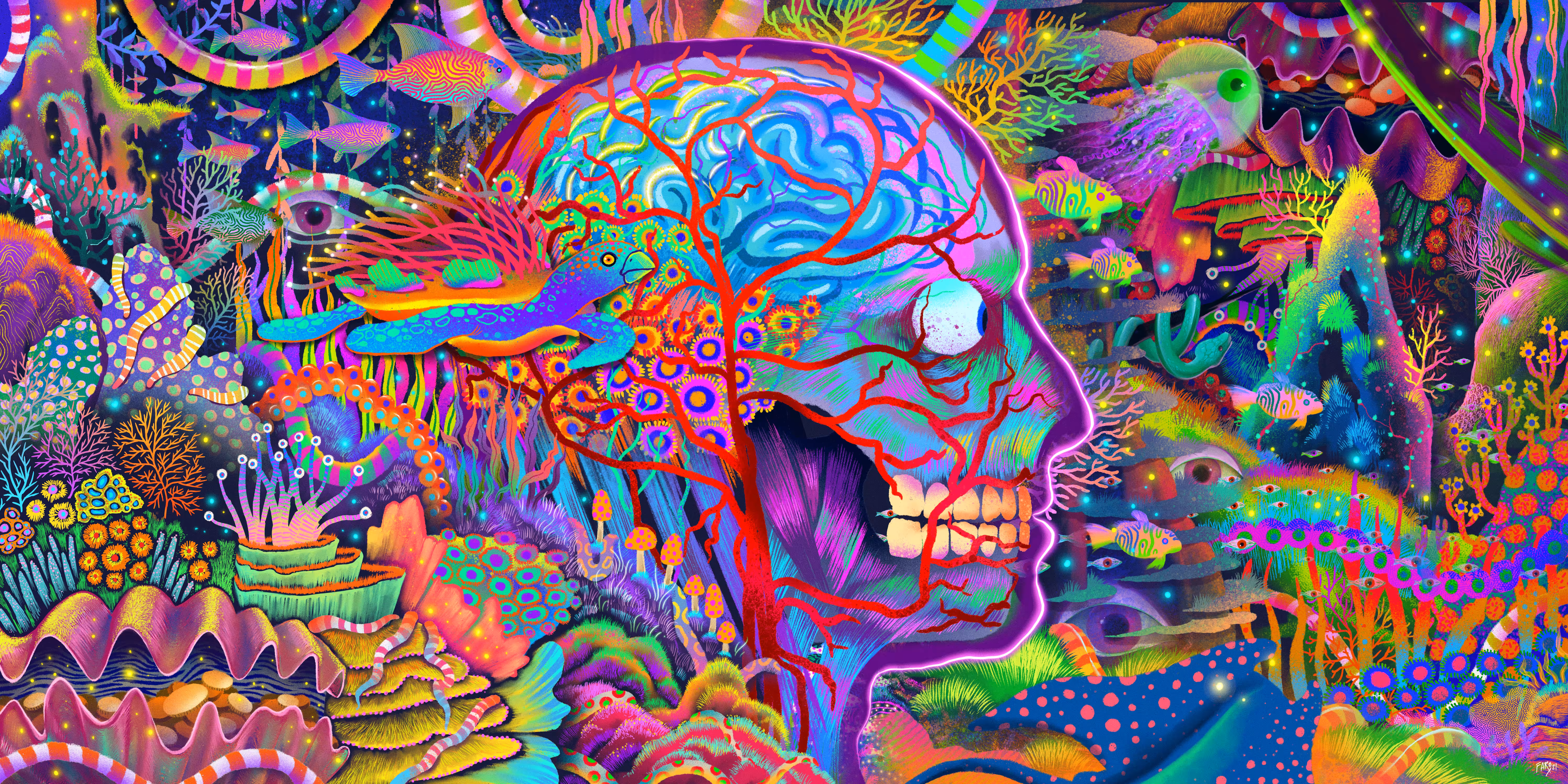 dive into the underwater world part 3