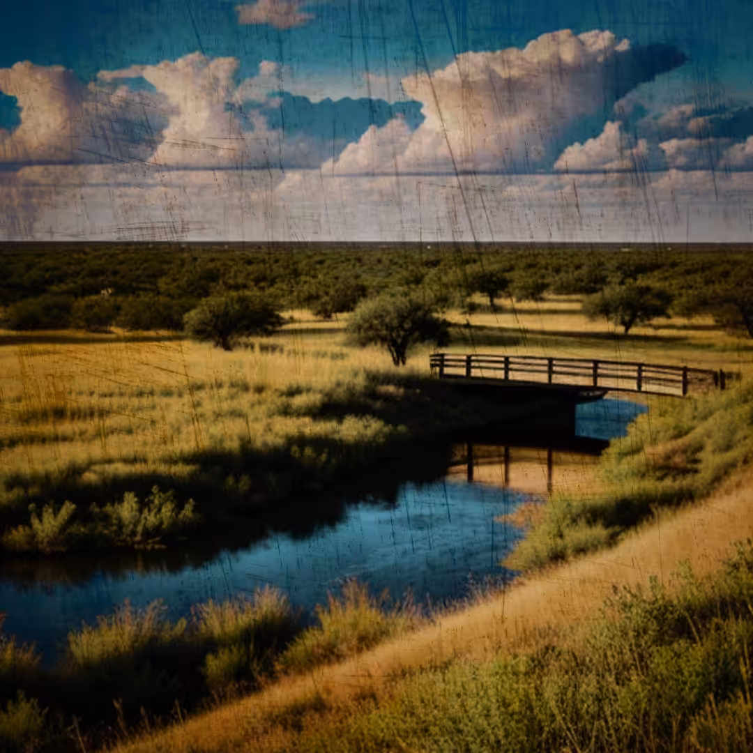 Landscape
