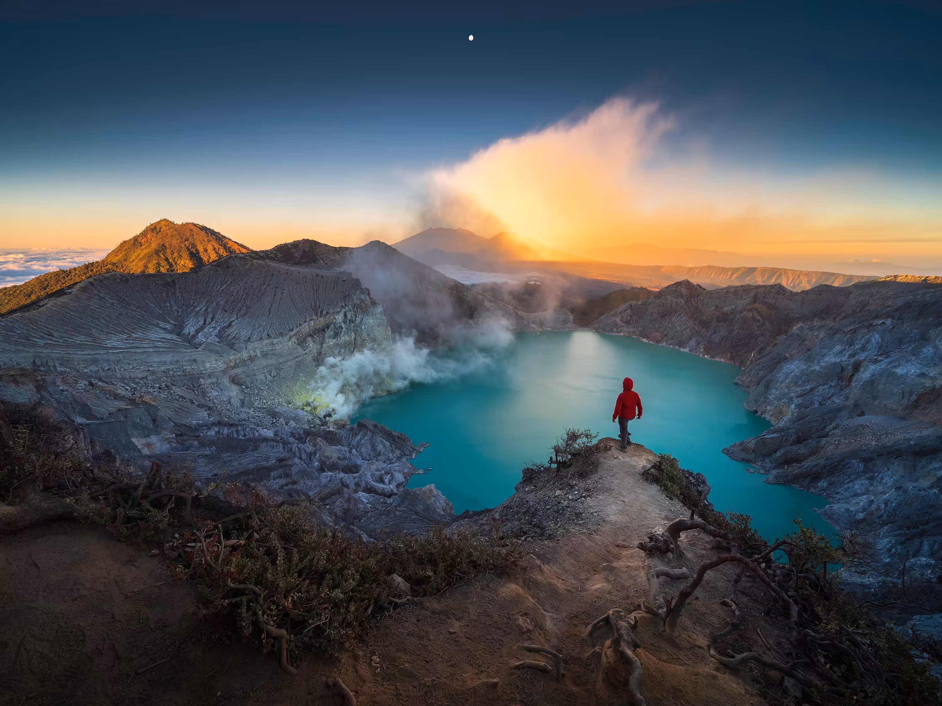 The Lost Paradise 