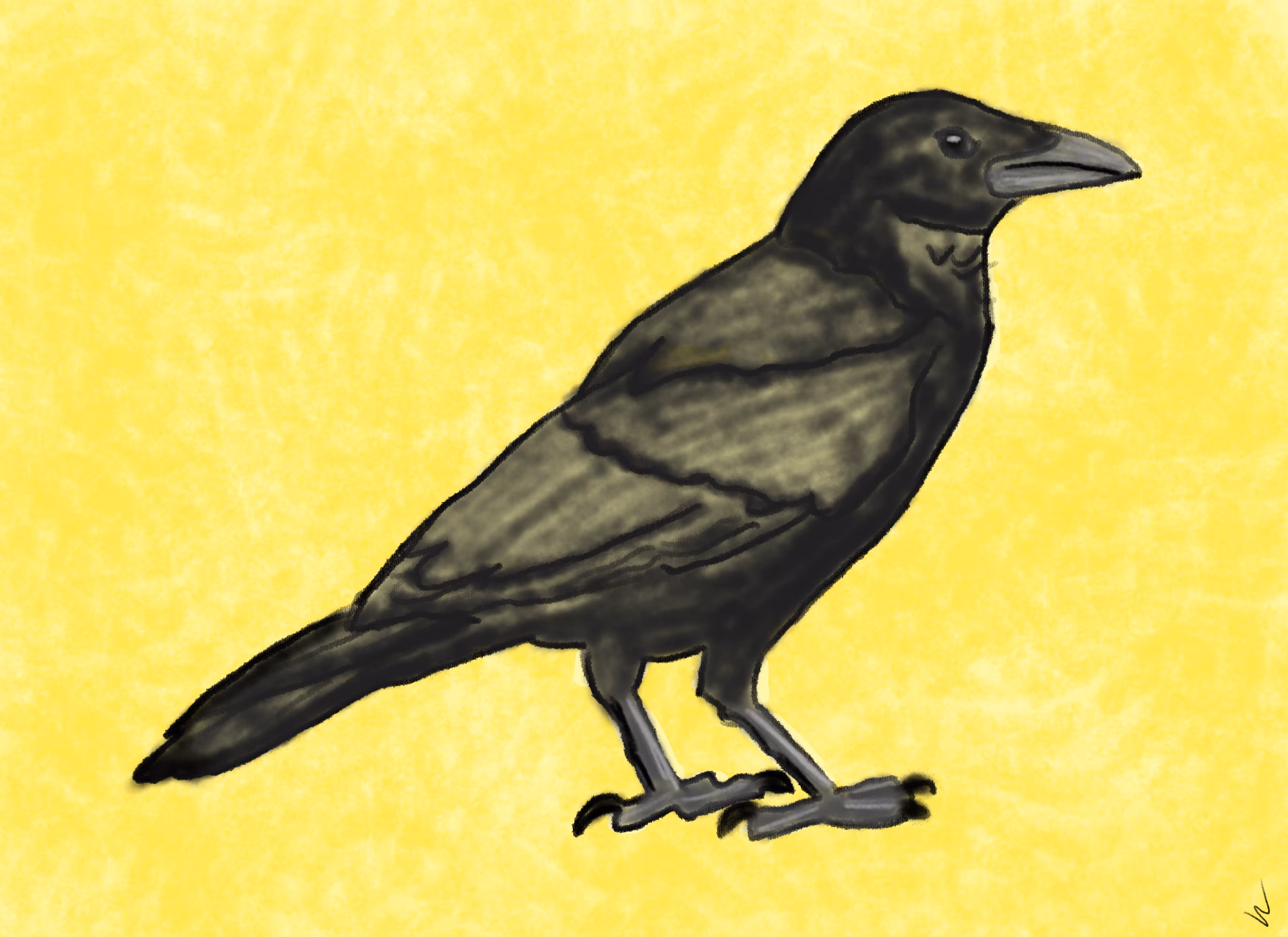 Raven