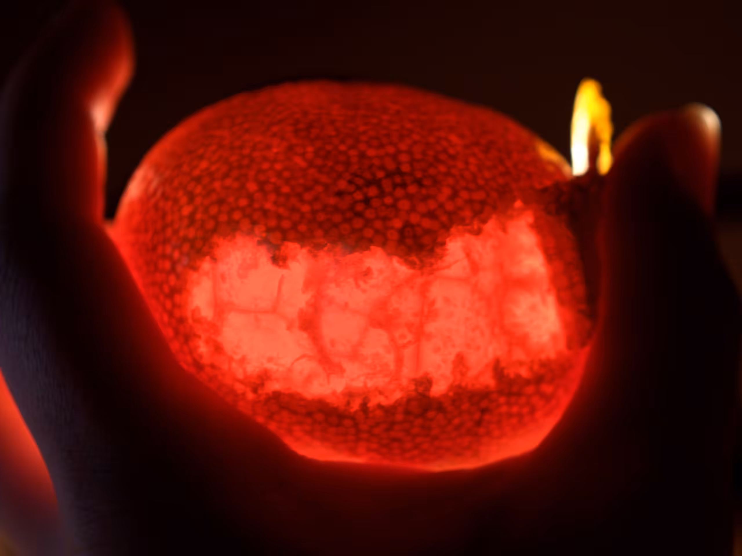 Lava Tangerine