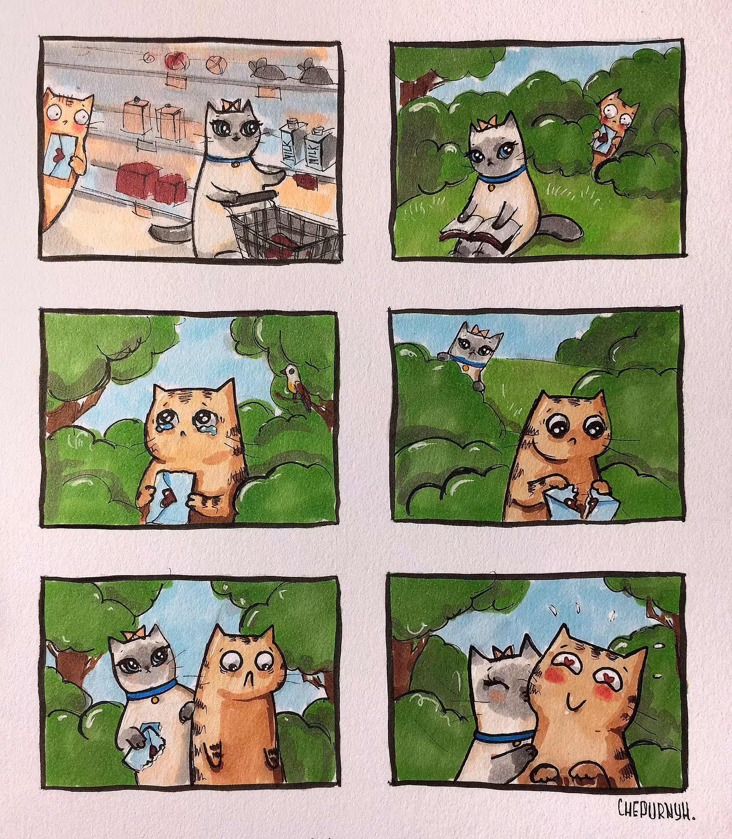 Purrfectly in Love
