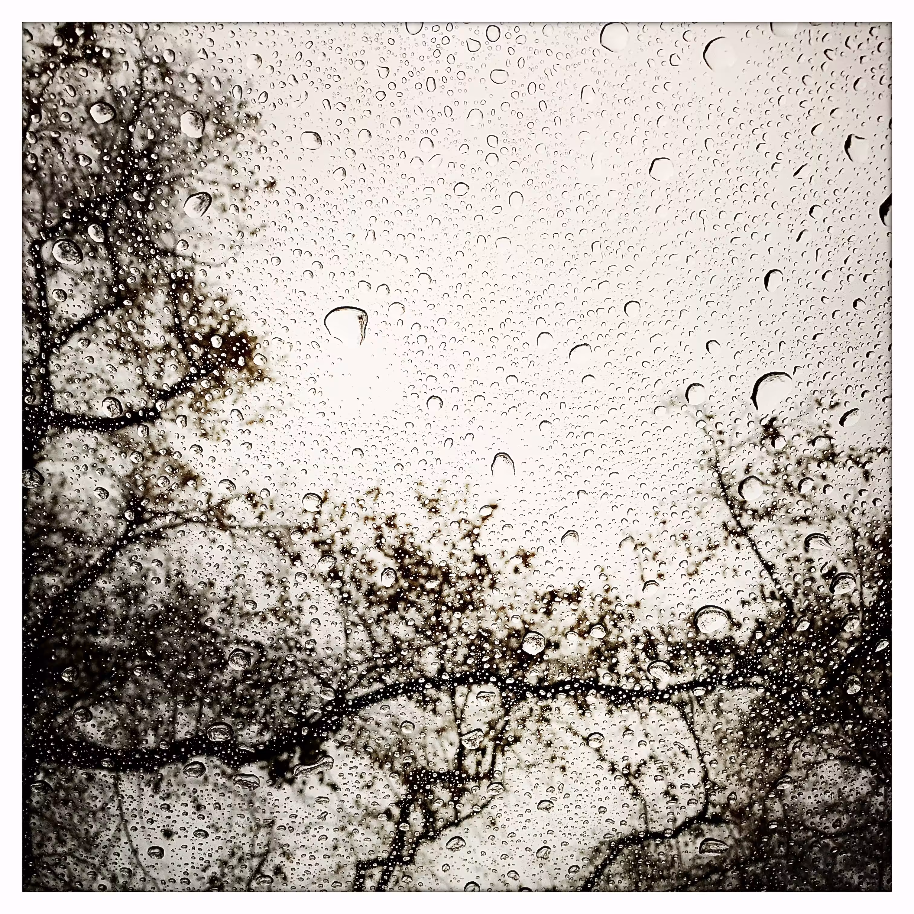 Drops #1