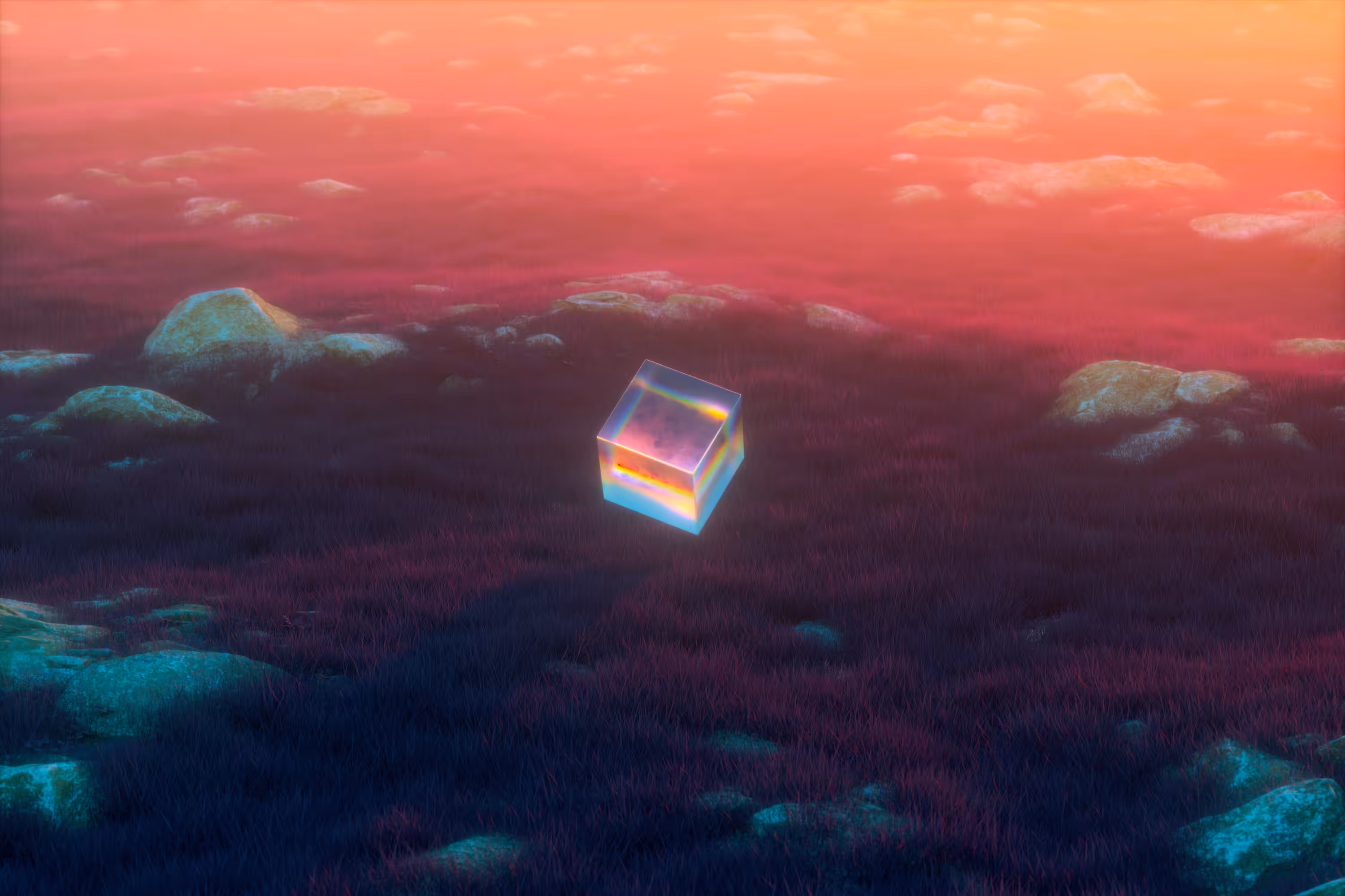 EQUIPOISE 001