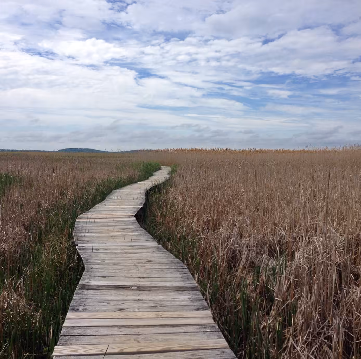 walkway on PI