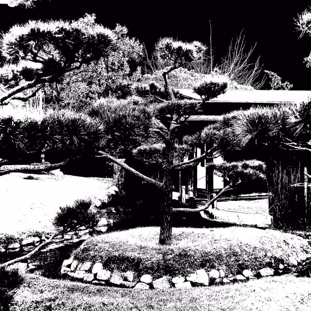 el viento, el árbol y el sonido de una máquina