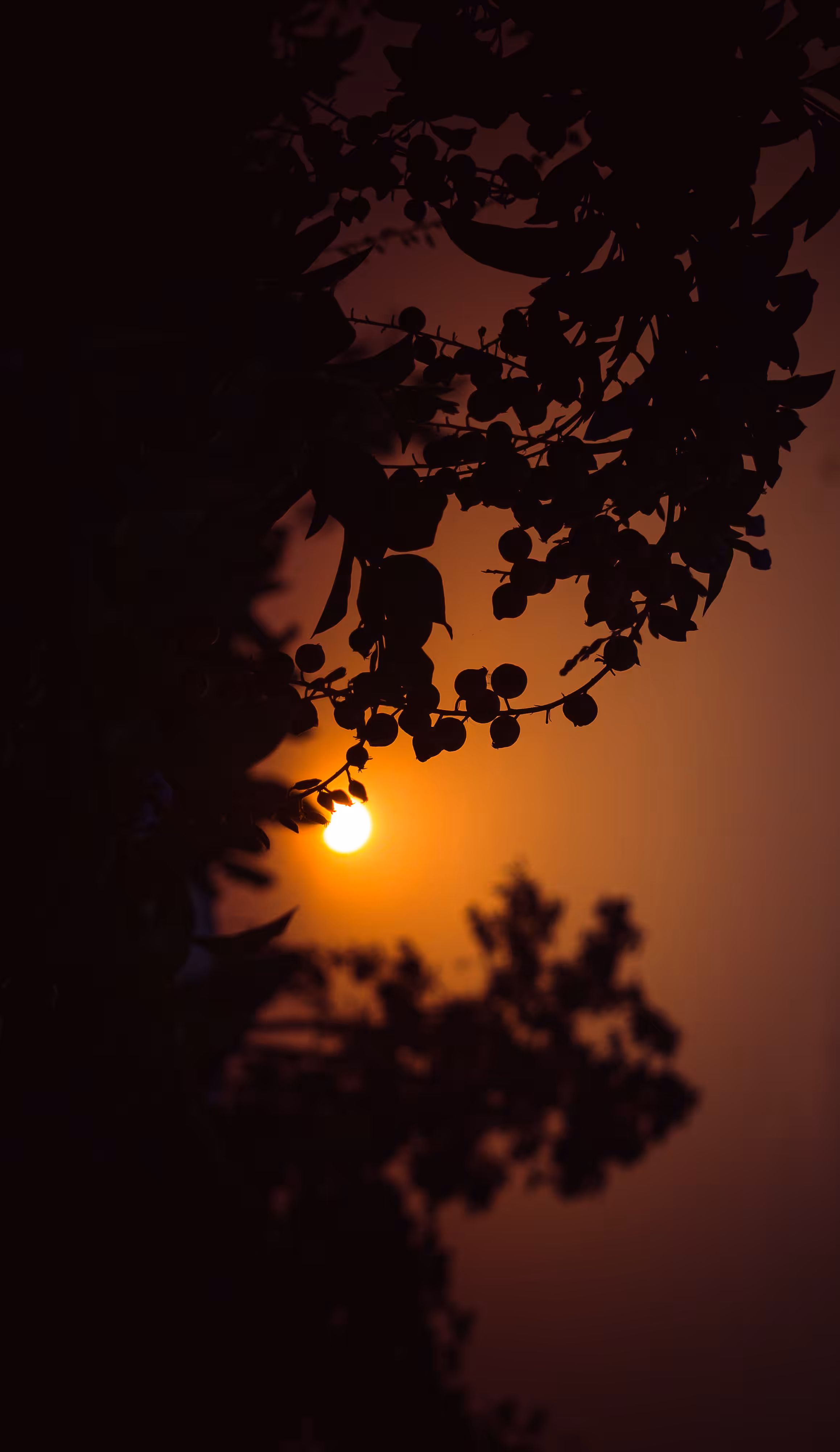 Chasing Sunset ii