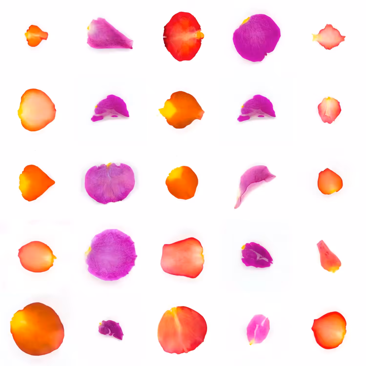 Infinite Petals 5x5#20294