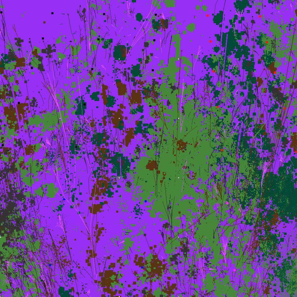 Infinite Garden: 21816 Flowers