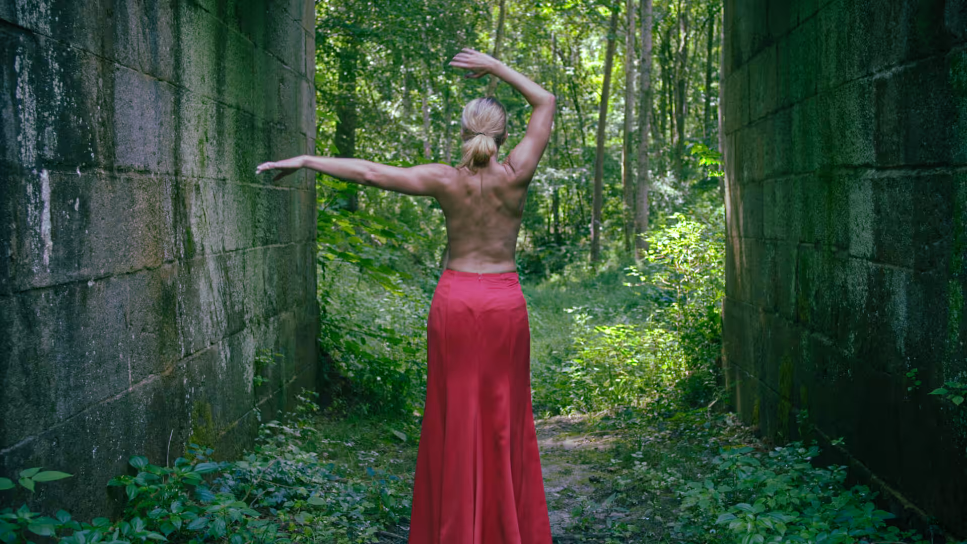 Red in the Woods