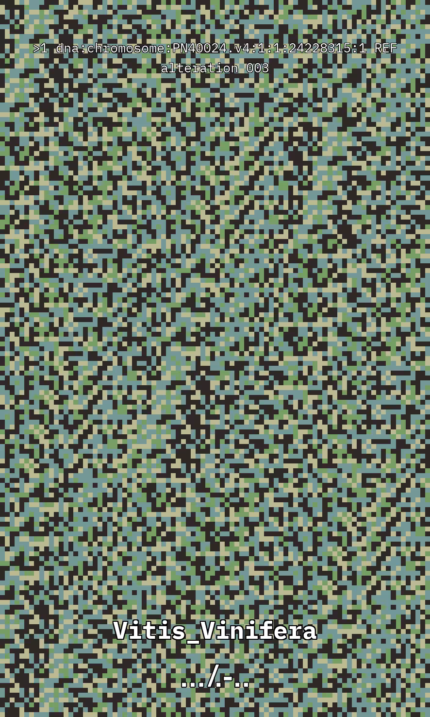 Vitis DNA Alteration #3