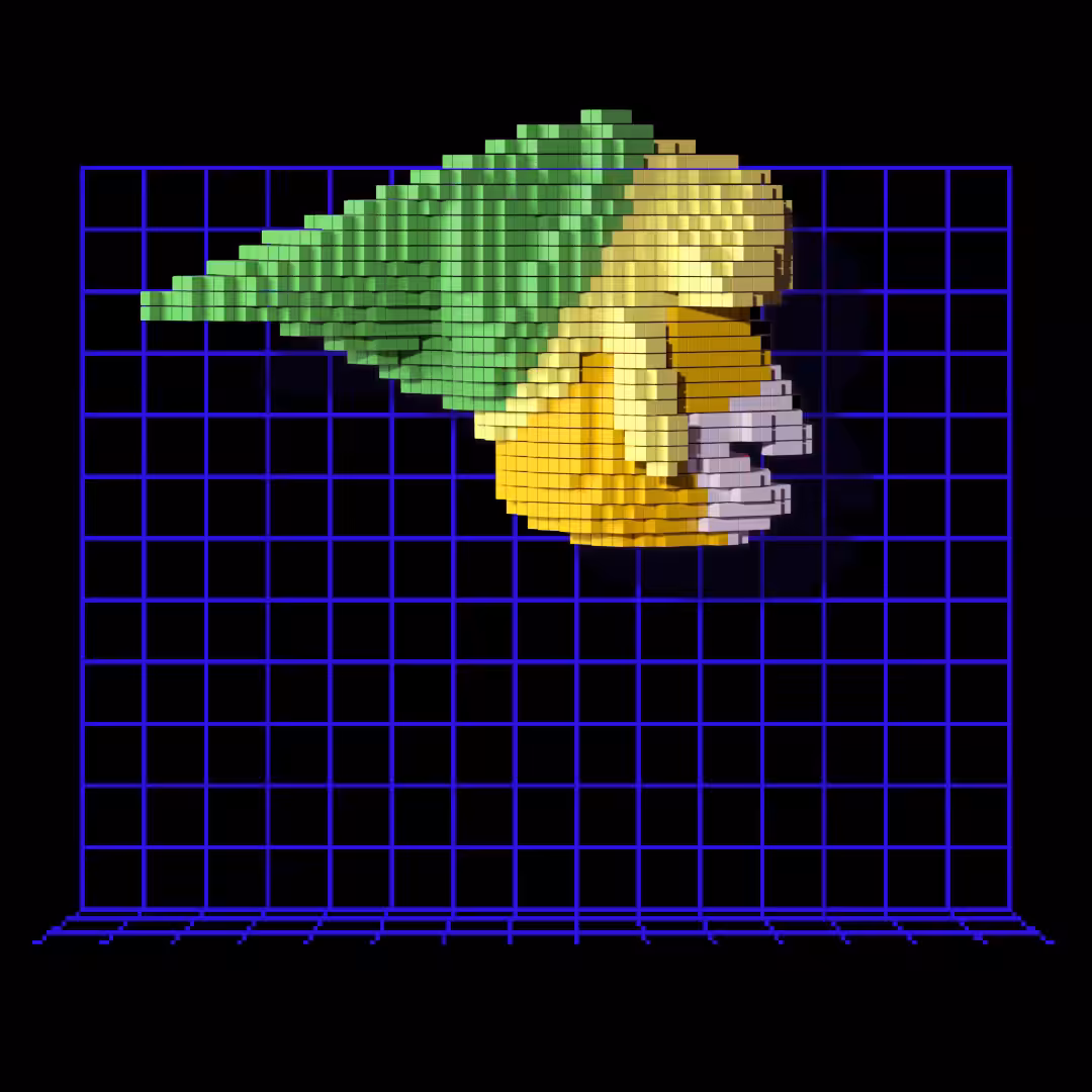 Voxel Eric 29