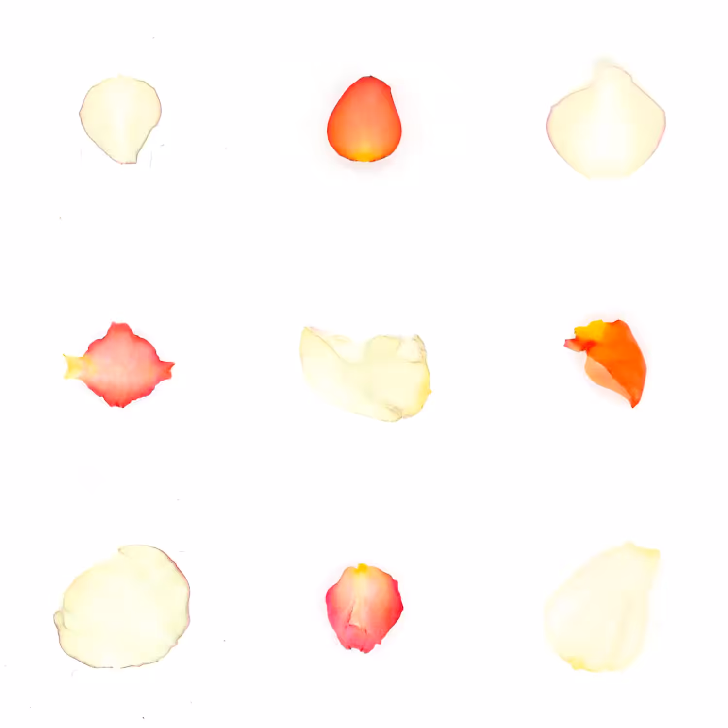 Infinite Petals 3x3#3102