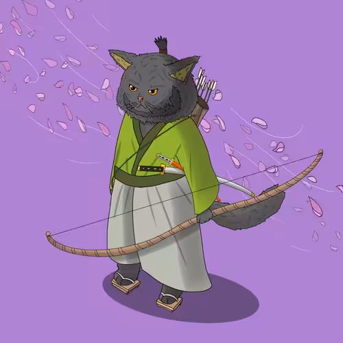Ronin#9