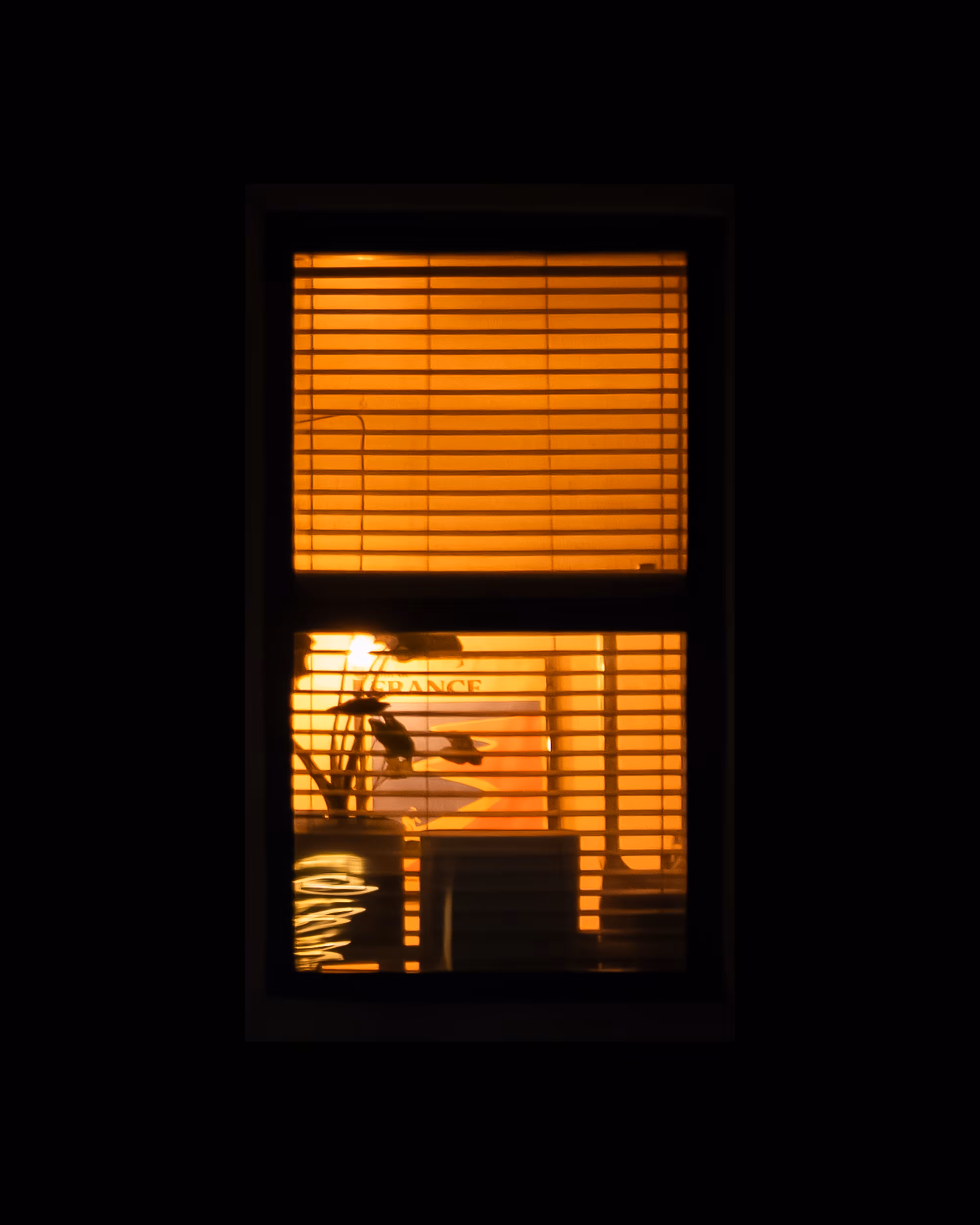 WINDOW 744