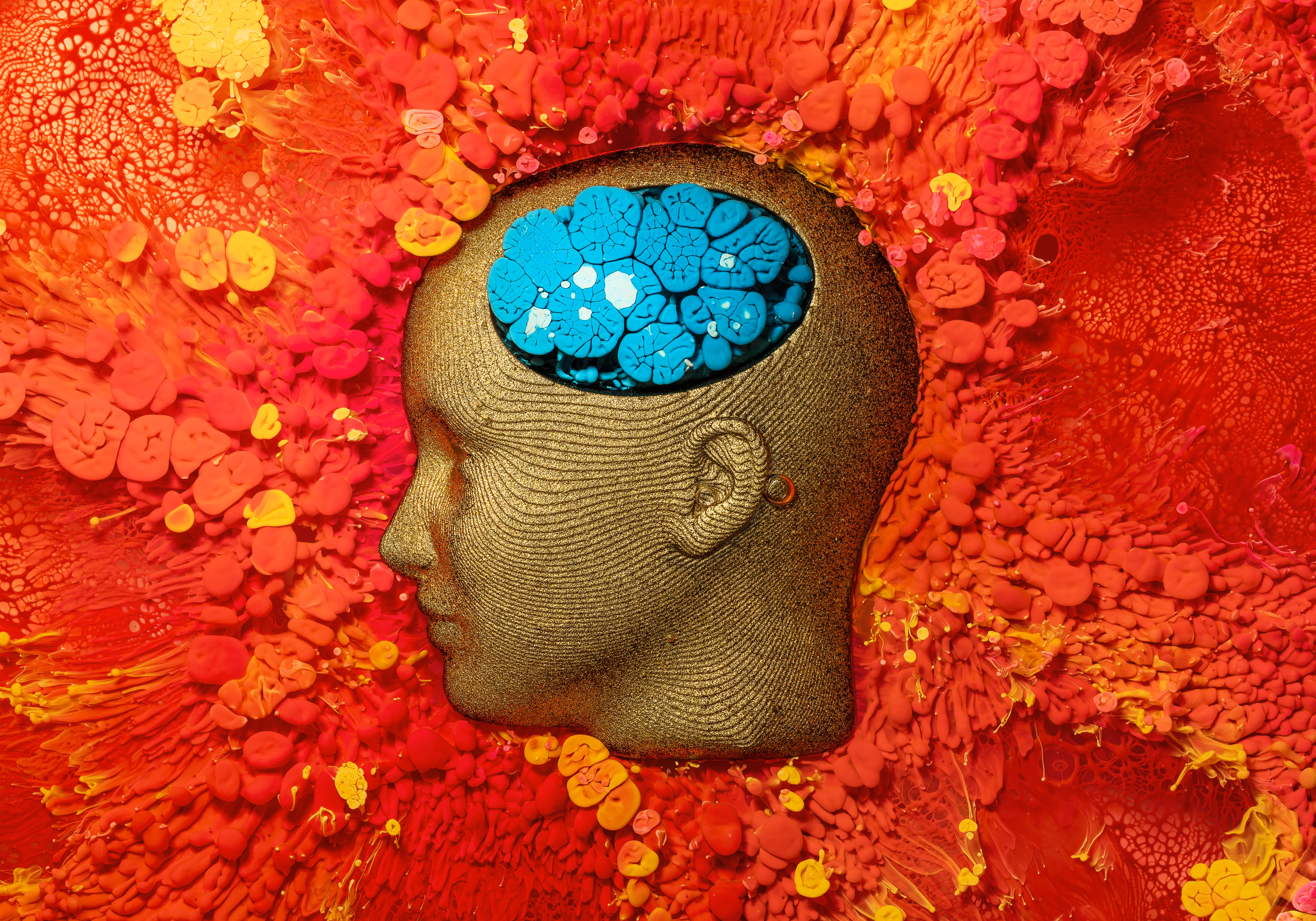 Bobby's Brain