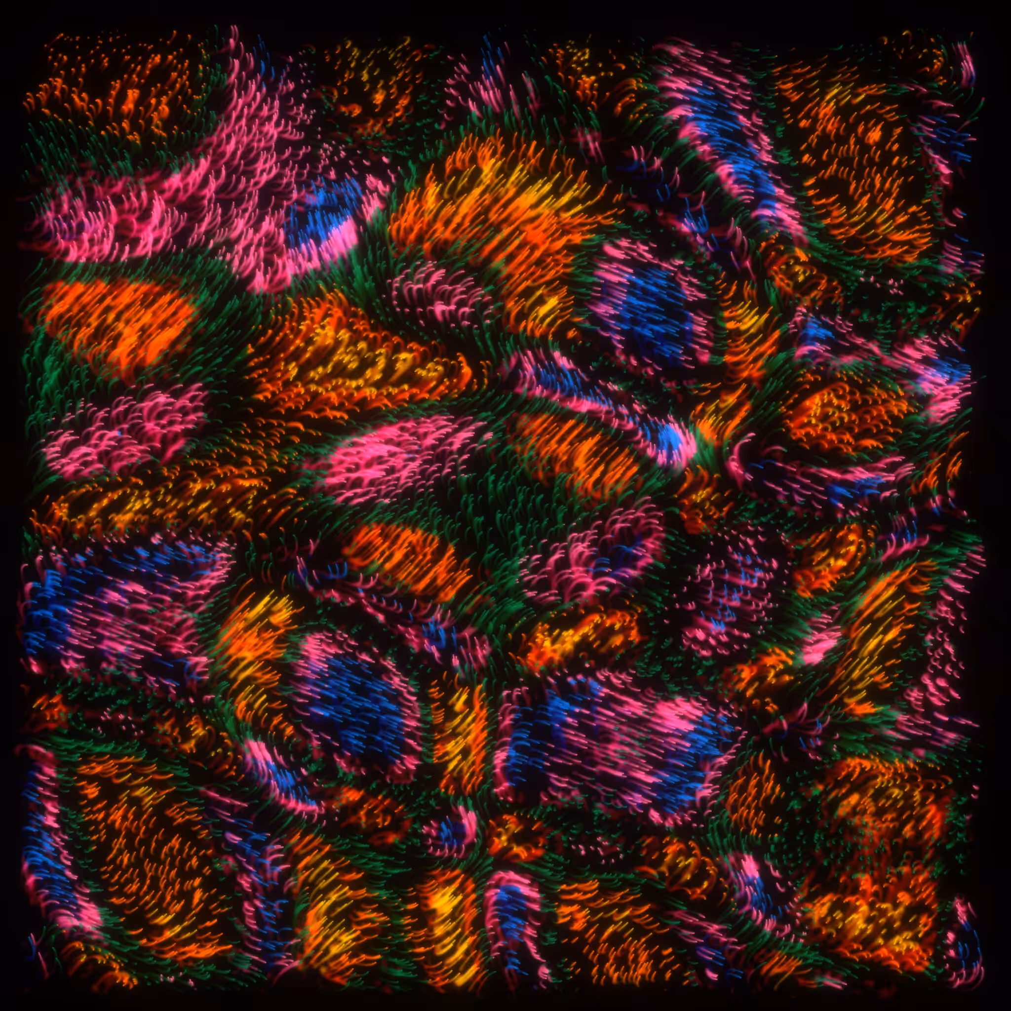 flow | meditations #587