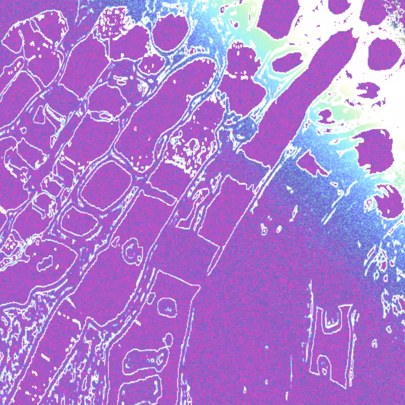 currents #113