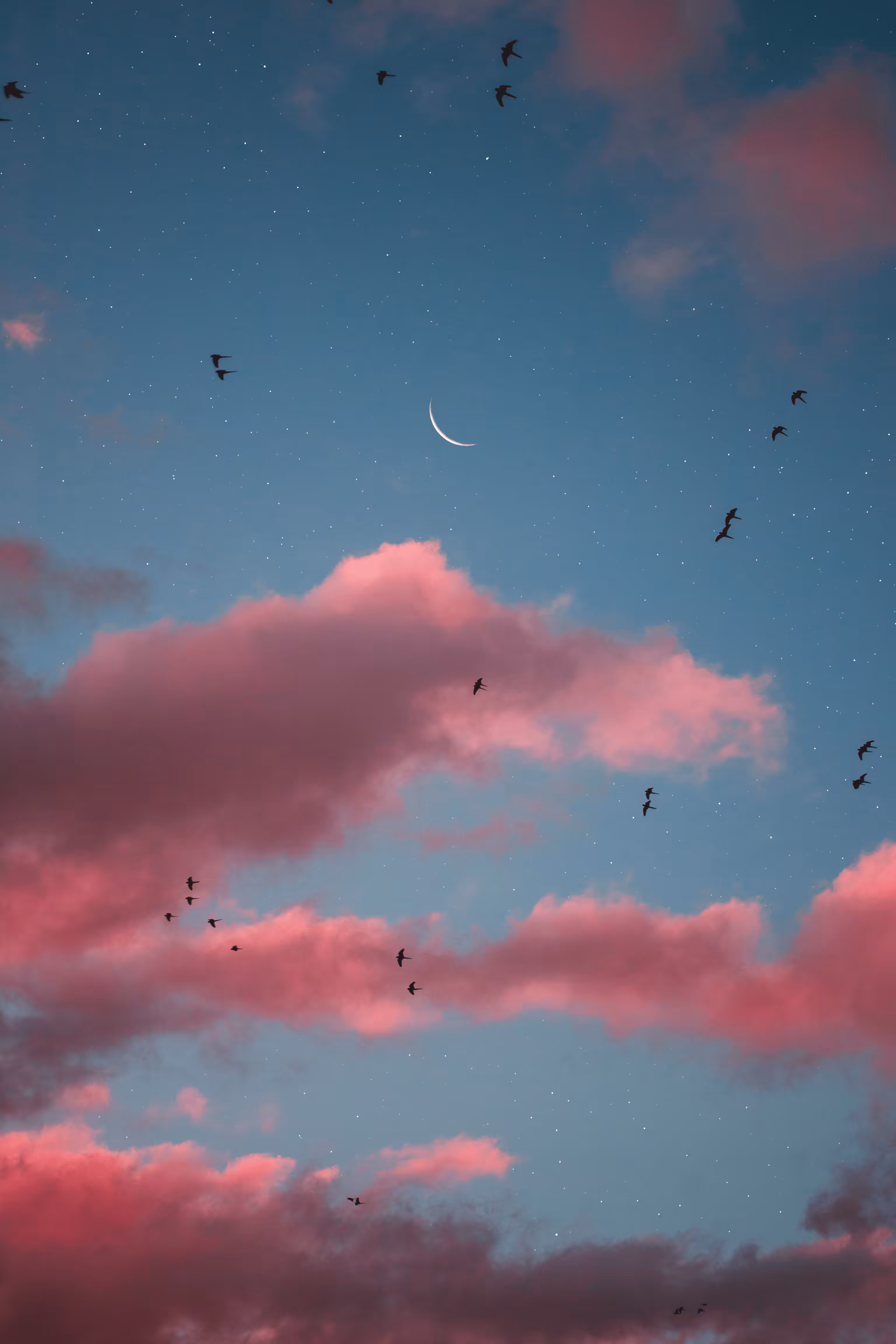 My Moons and Stars #65