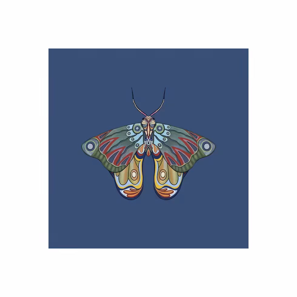 The Moth Experiment  #37
