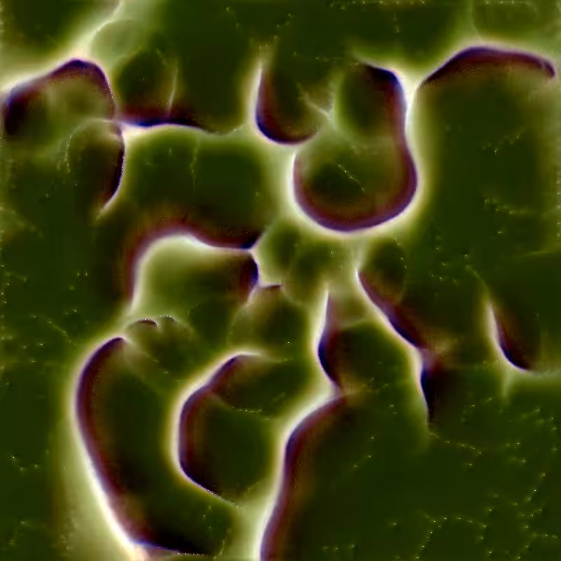 Genomes #456