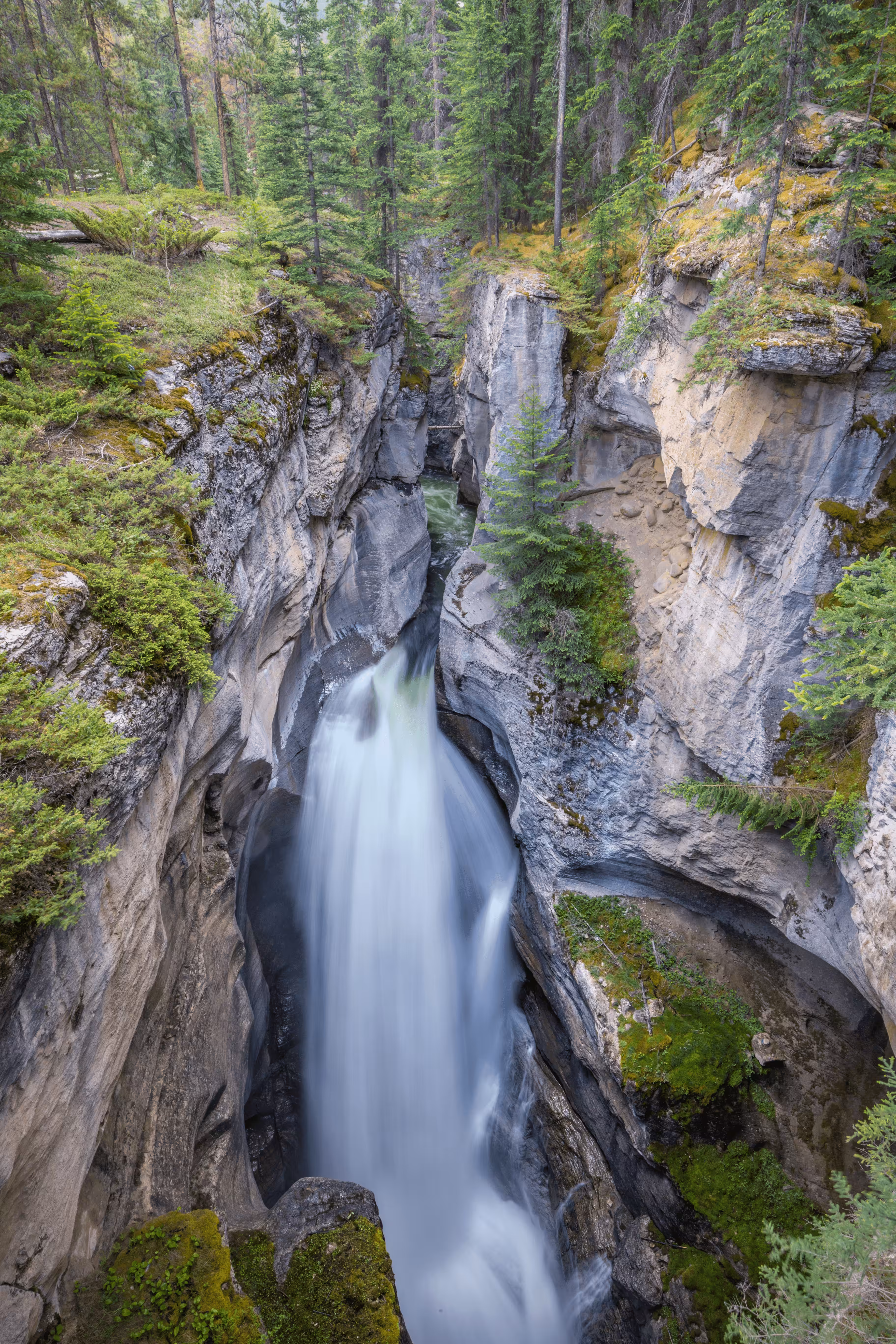 #46 - Maligne Canyon Summer