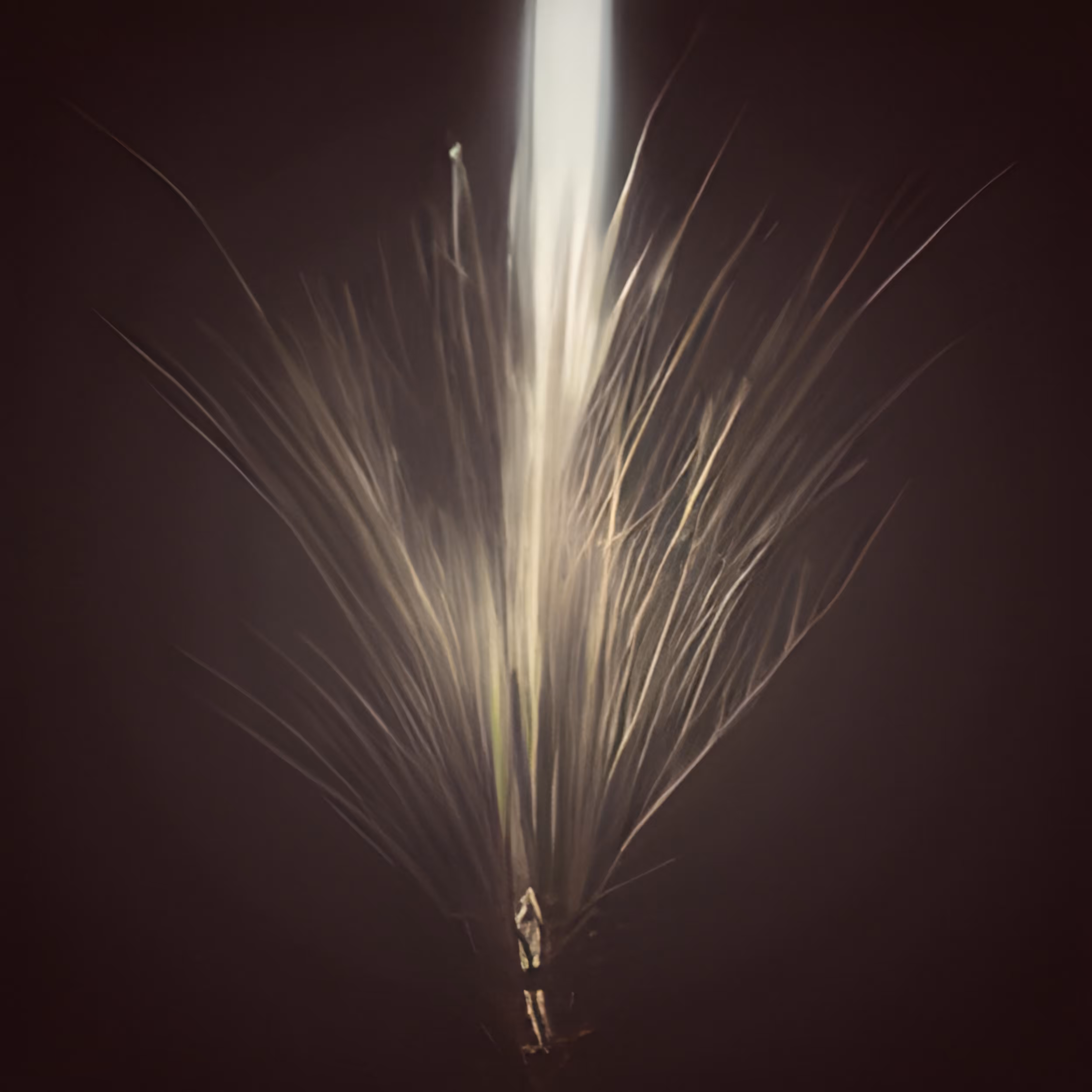 Humble Beginnings of Light