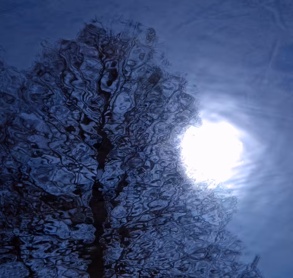 Still Waters