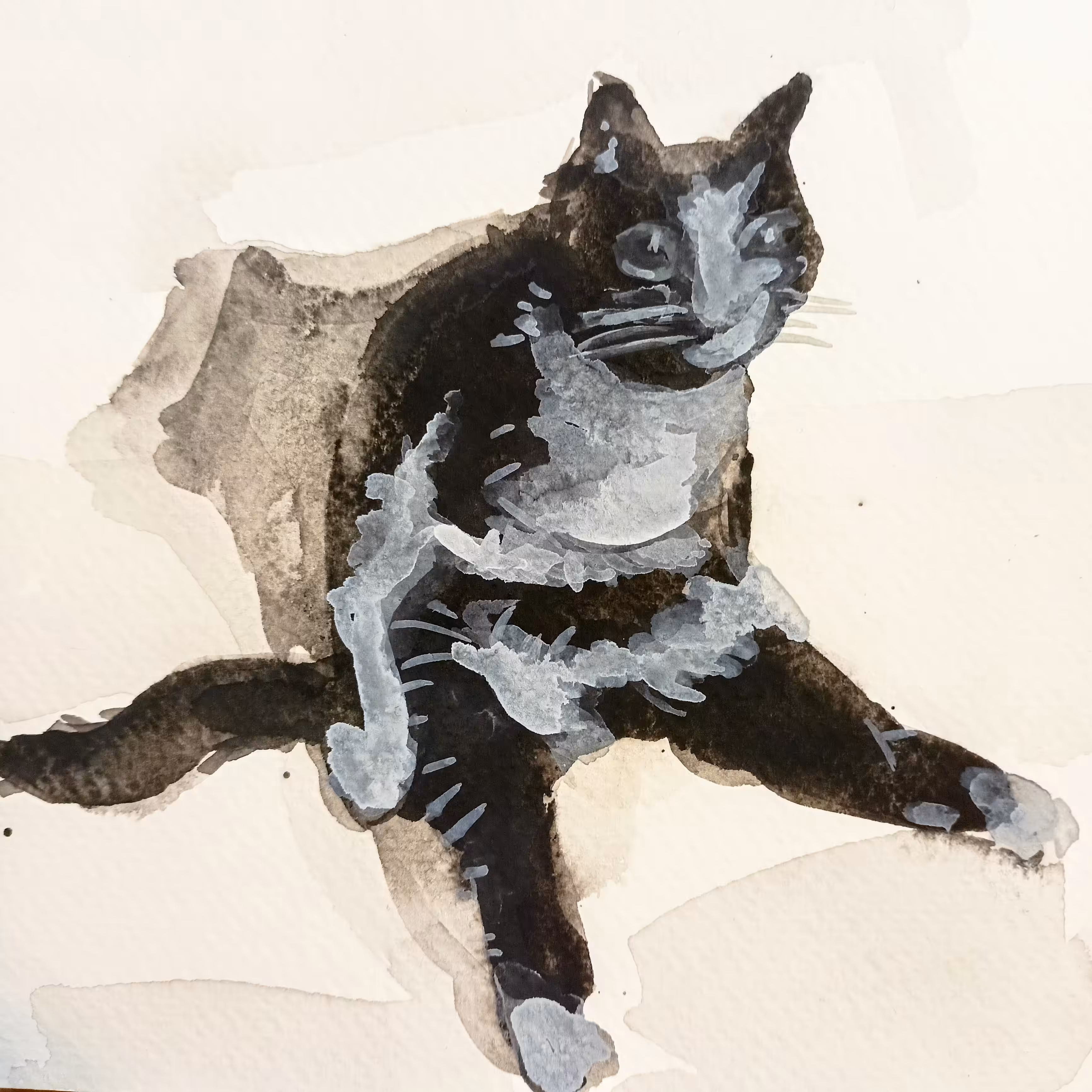 Sitting Cat