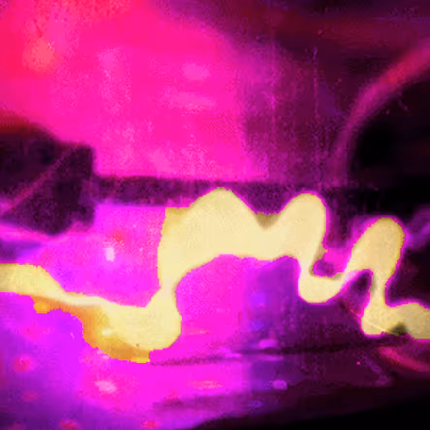 🧛🏼‍♂️👩🏼‍🎤pinkHalloNosferatu _ proyecto brainstorm_ 