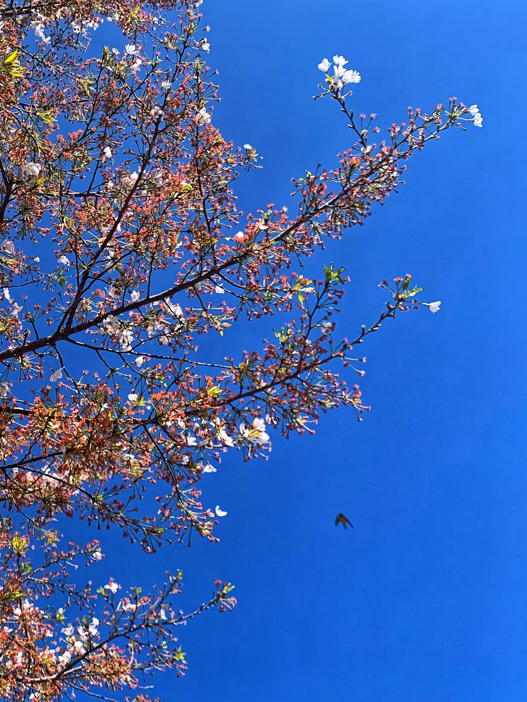 The Daily Good 18.4.22