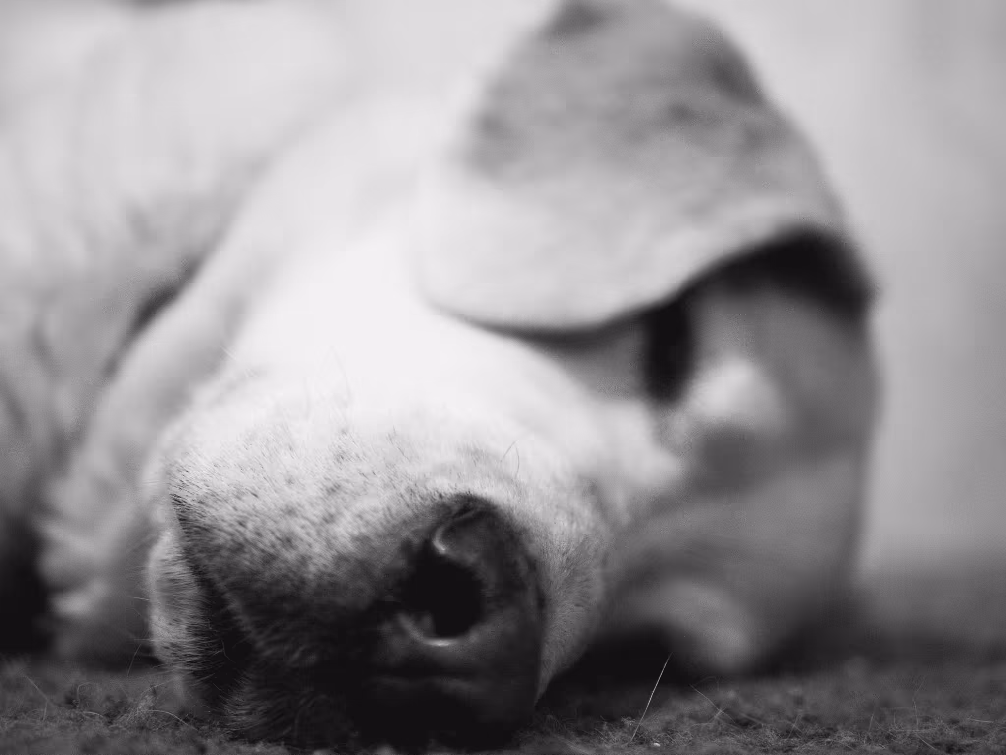 My Best Friend #1