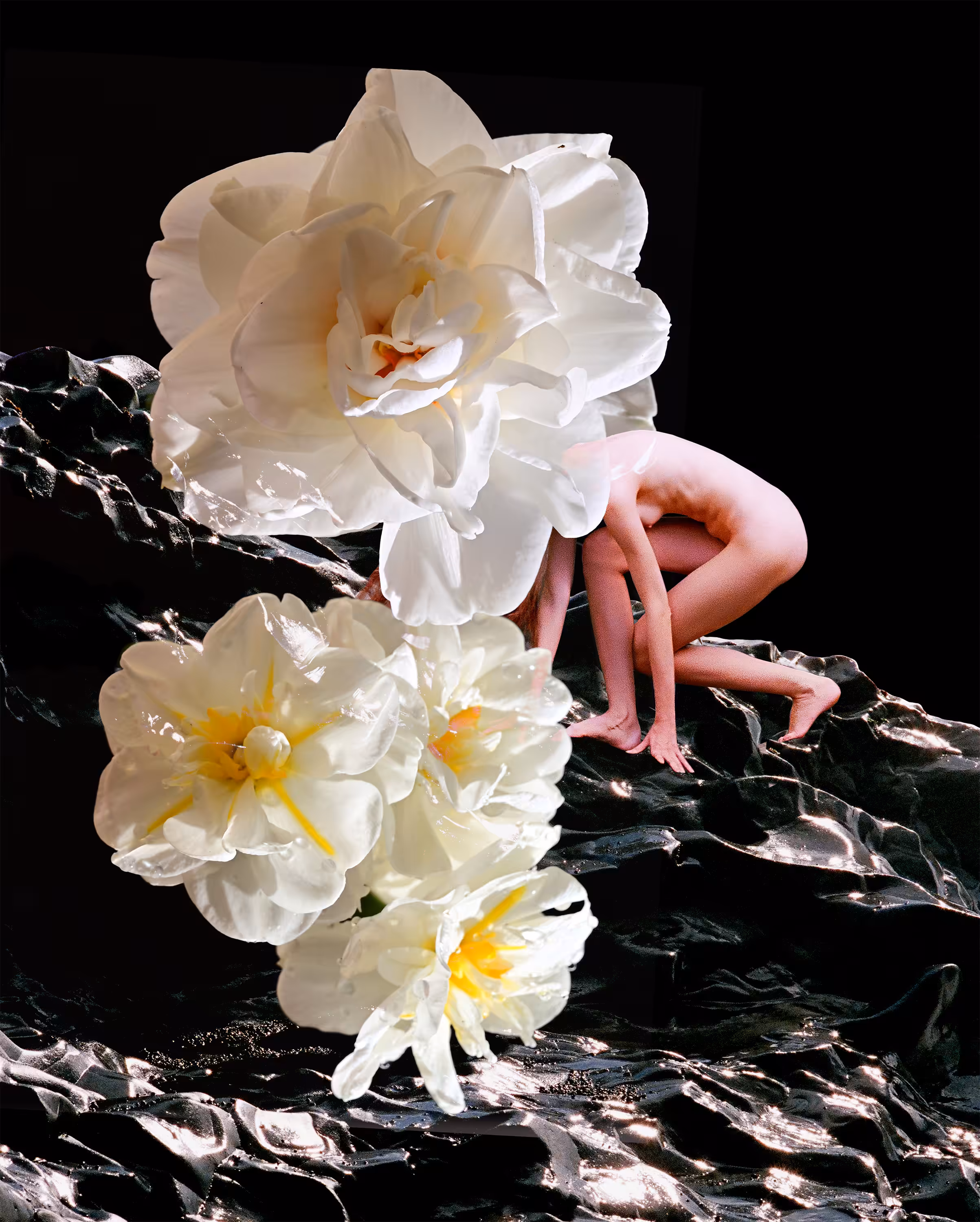 Flowermania #5